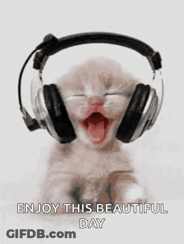 Kitten Wearing Headphones Yawning Enjoy This Beautiful Day GIF