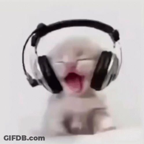 Kitten Wearing Headphones Yawning GIF