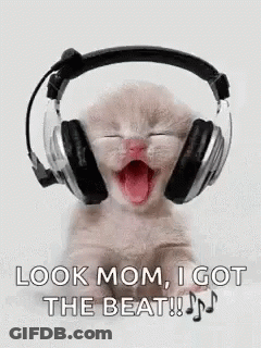 Kitten Wearing Headphones Yawning Says Look Mom I Got The Beat GIF