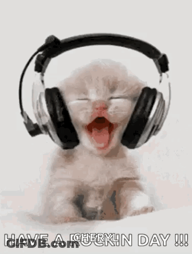 Kitten Wearing Headphones Yawning GIF