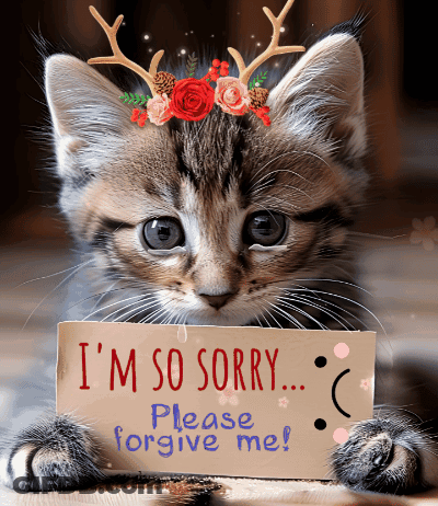 Kitten With Antlers Holding Sorry Sign GIF