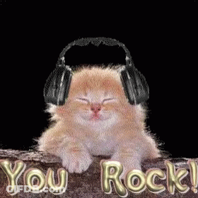 Kitten With Headphones On Rock Saying You Rock GIF