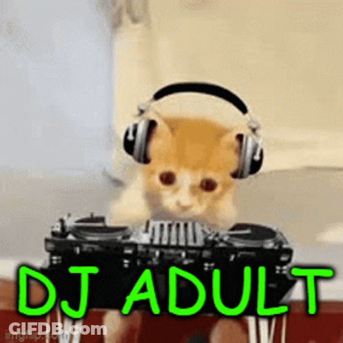 Kitten With Headphones Playing DJ Mixer GIF