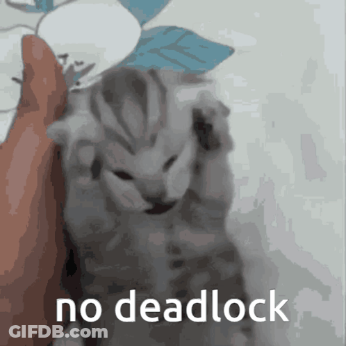 Kitten With No Deadlock Text GIF