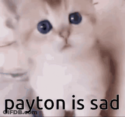 Kitten With Payton Is Sad GIF