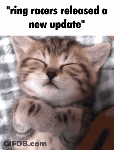Kitten With Ring Racers Update GIF
