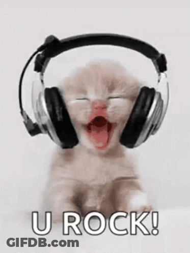 Kitten Yawning With Headphones Saying U Rock GIF