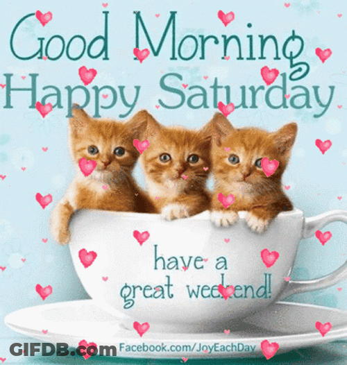 Kittens And Hearts Saturday Blessings GIF