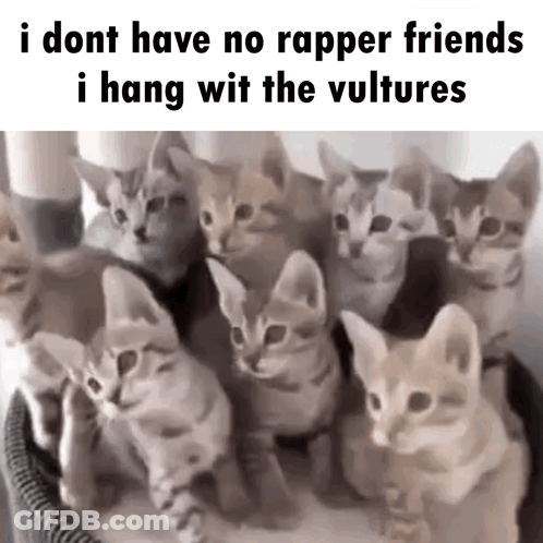 Kittens In Basket I Dont Have No Rapper Friends GIF