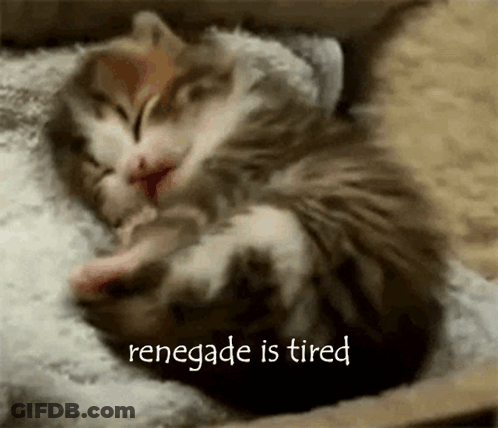 Kittens Sleeping With Renegade Is Tired GIF