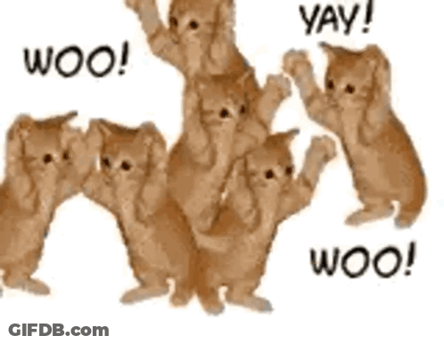 Kittens Standing On Hind Legs Saying Yay GIF