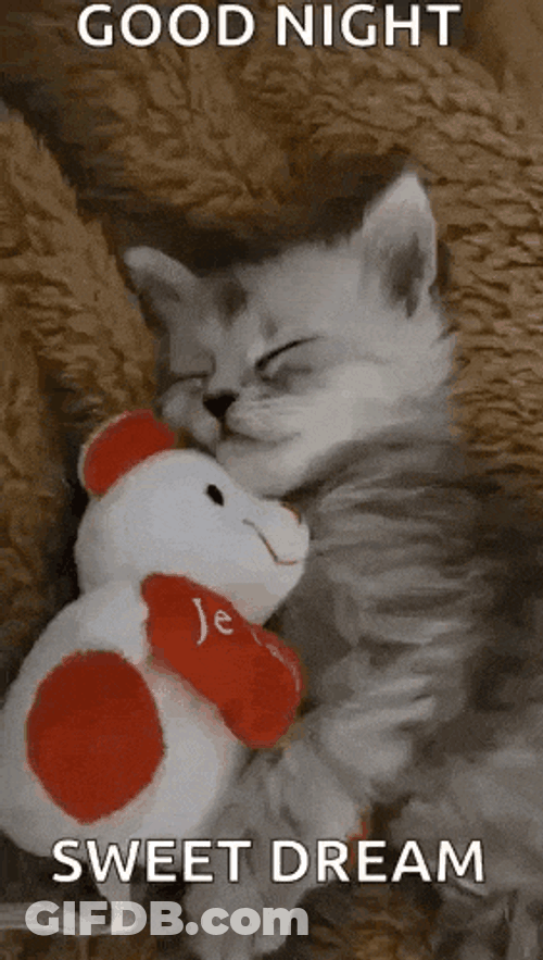 Kittensleep Cute GIF