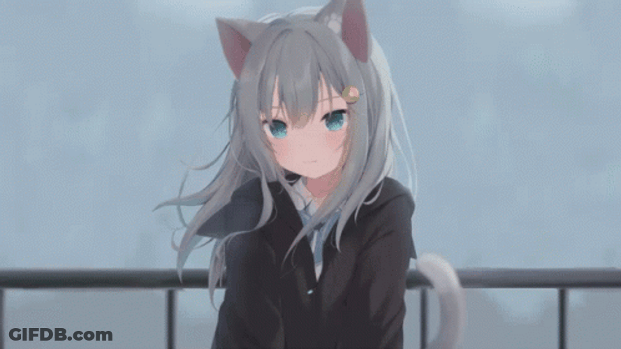 Kitty Cat Anime Discord Pfp GIF