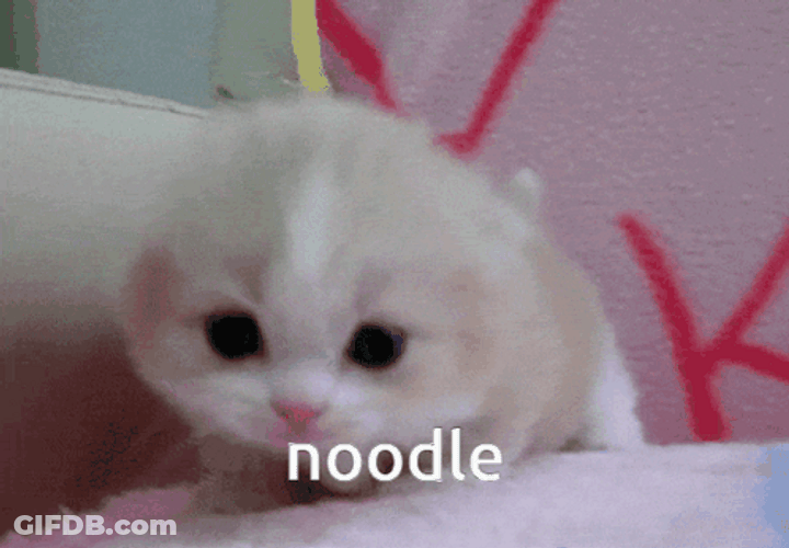 Kitty Cries For Noodle GIF