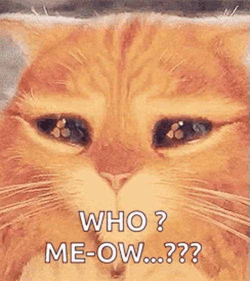 Kitty Eyes Who Me GIF