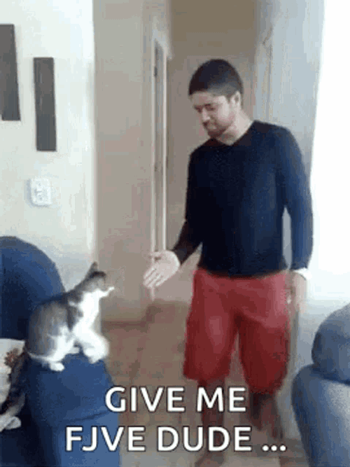 Kitty Gif Kitty Fist Bump GIF