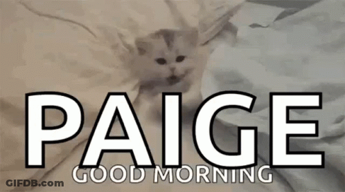Kitty Good GIF