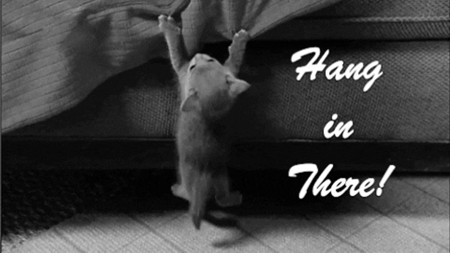 Kitty Hang In There Thinking Of You Sympathy GIF