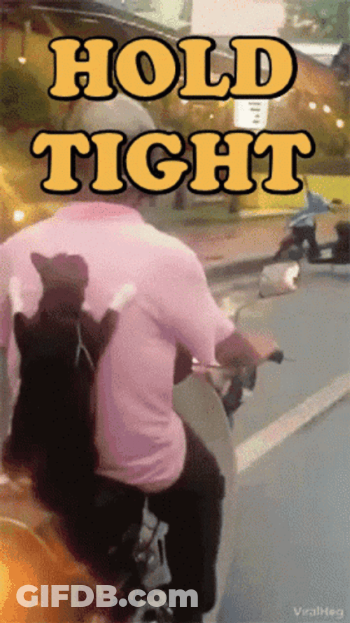 Kitty Holding On Tight GIF