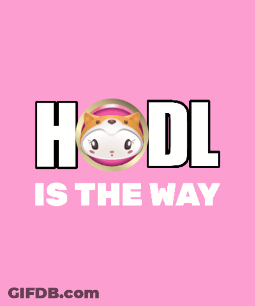Kitty Inu Hodl GIF