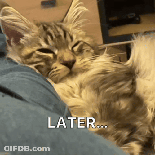 Kitty Is In Procrastination GIF