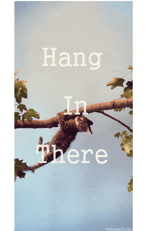 Kitty Just Hanging Around GIF