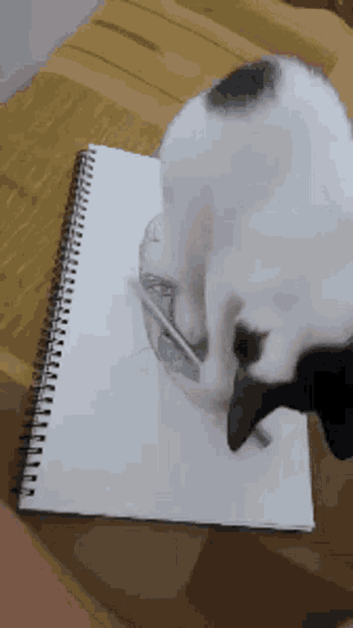 Kitty Krassi G GIF