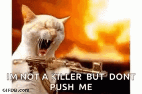 Kitty Machine Gun GIF