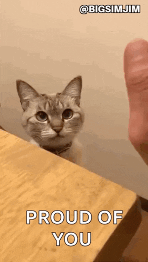 Kitty Meow GIF