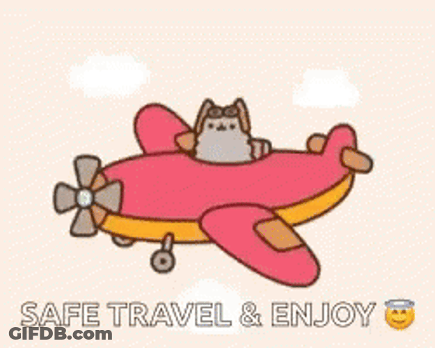 Kitty On Plane Safe Travels GIF