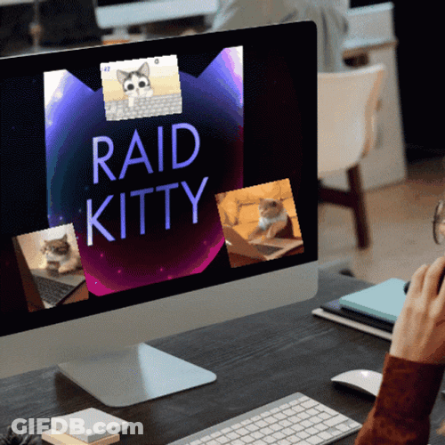 Kitty Raid GIF