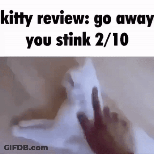 Kitty Review Go Away Stink GIF