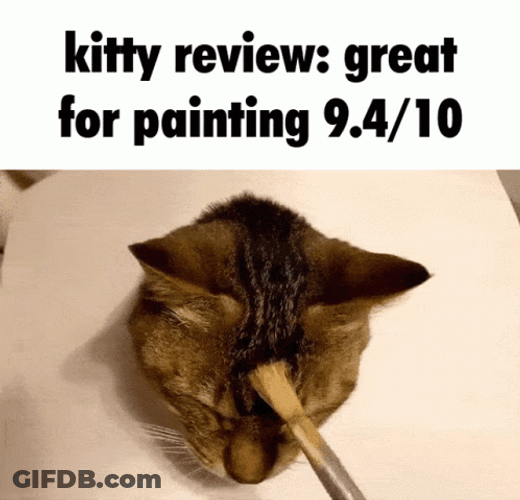 Kitty Review Great For Painting GIF