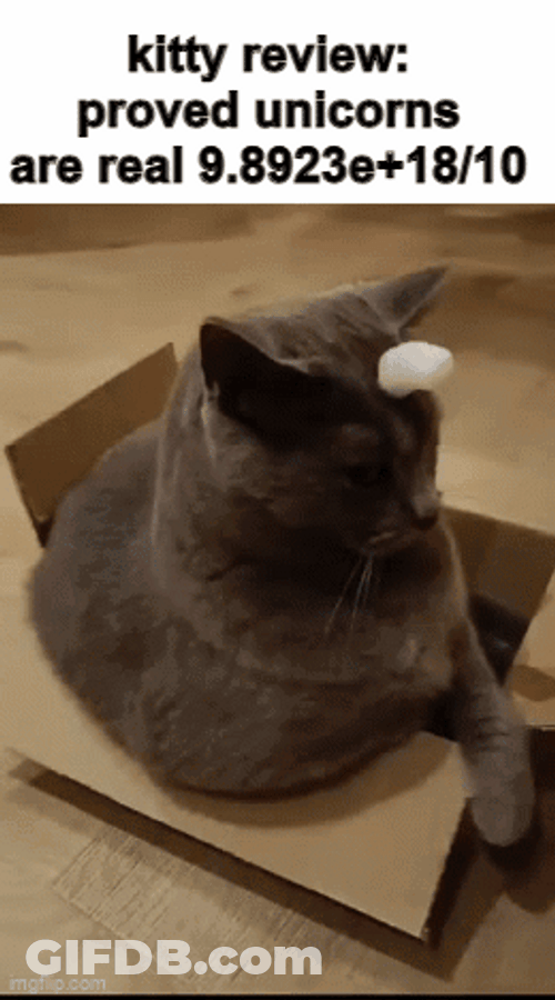 Kitty Review Proved Unicorns GIF