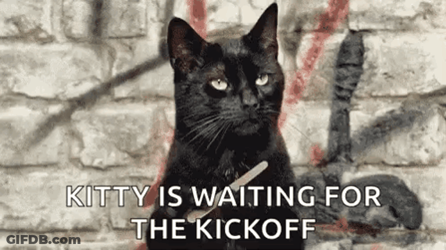 Kitty Waiting For Kickoff GIF