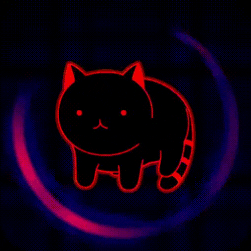 Kittyspin Ks GIF