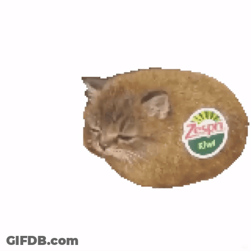 Kiwi-Like Cat With Kiwi Slice GIF