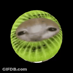 Kiwi With Dog Face GIF