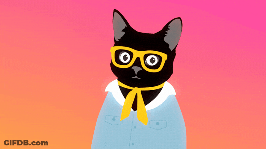 Klaus Birthday Cat Confetti Thrown Away GIF