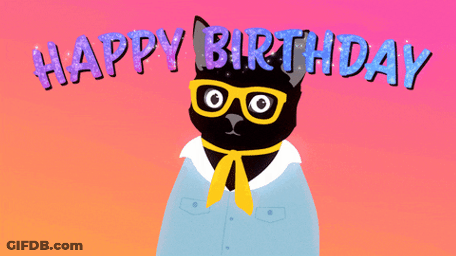 Klaus Birthday Cat Surprise GIF