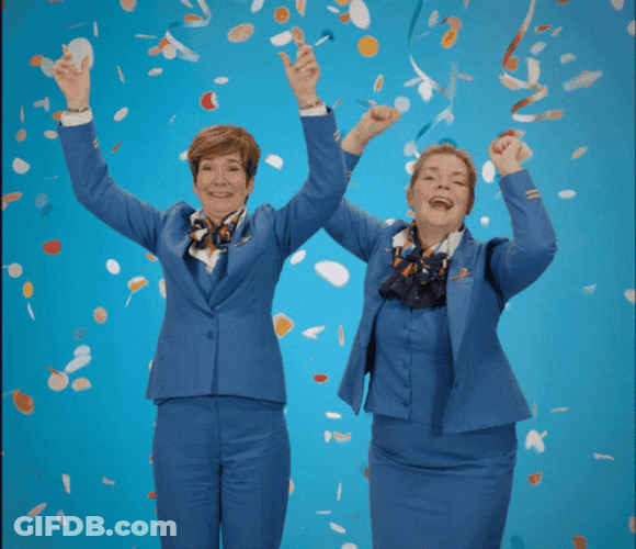 KLM Aviation Party Landed GIF