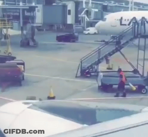 KLM Plane On Tarmac GIF