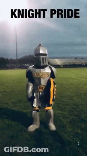Knight Holding Shield Saying Knights GIF