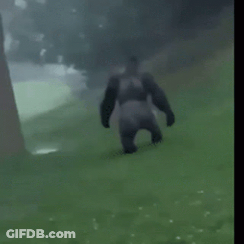 Knight In Armor Dancing In Front Of Wall GIF