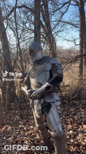 Knight In Armor Holding Gun In Woods GIF