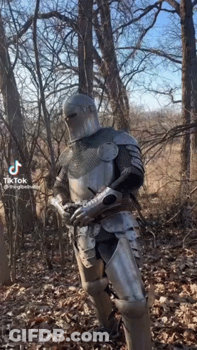 Knight In Armor Standing In Forest GIF