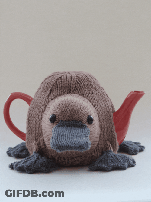 Knitted Platypus Teapot GIF