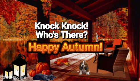 Knock Knock Who's There Happy Autumn Greeting Card GIF