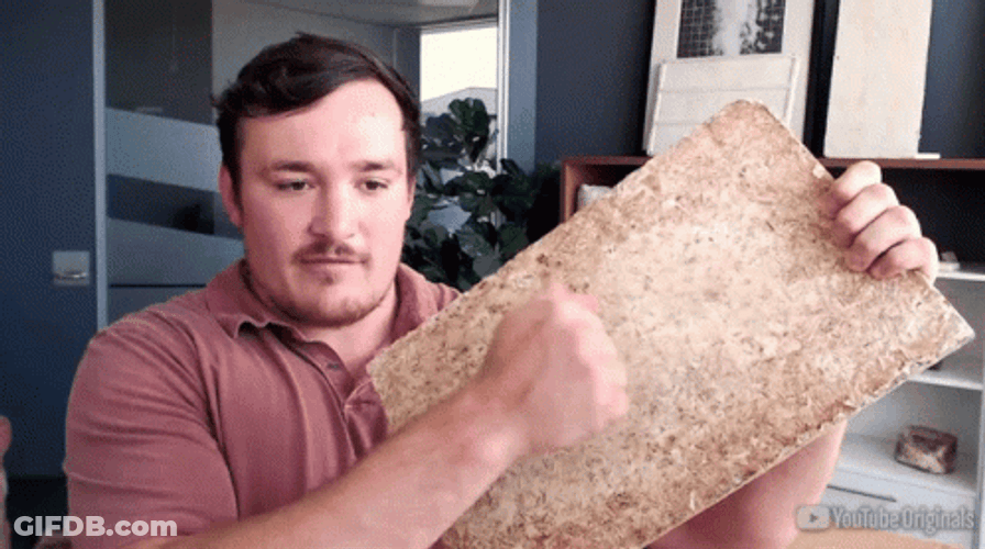 Knock On Wood Board GIF