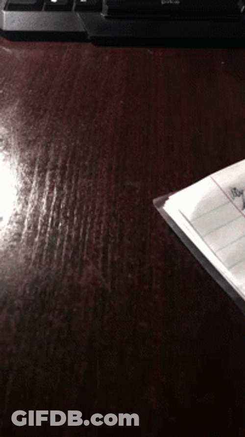 Knock On Wood Home Office Table GIF